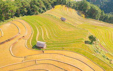 Aerial top view of fresh paddy rice terraces, green agricultural fields in countryside or rural...