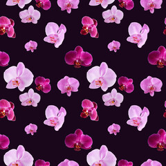Beautiful seamless pattern of orchid flowers. Orchids pattern for design on dark purple background.