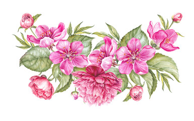  Watercolor illustration sakura. Spring flowers on white background 
