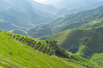 Fototapeta na wymiar Aerial top view of fresh paddy rice terraces, green agricultural fields in countryside or rural area of Mu Cang Chai, mountain hills valley in Asia, Vietnam. Nature landscape background.