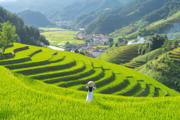 A farmer with fresh paddy rice terraces, green agricultural fields in countryside or rural area of Mu Cang Chai, mountain hills valley in Asia, Vietnam. Nature landscape. People lifestyle. © tampatra