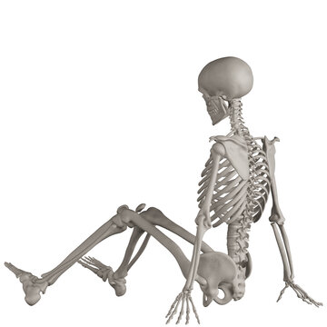 skeleton posing 3d render illustration