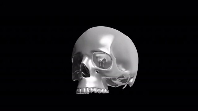 head human and teeth skull animation skull head rotation , human skull rotate loop with alpha 4k 
