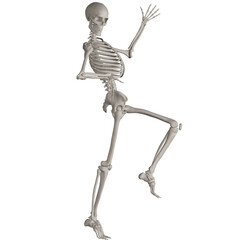 skeleton posing 3d render illustration with transparent background