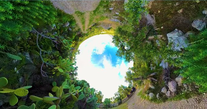 Tunnel nei campi primaverili convegetazioni campestri