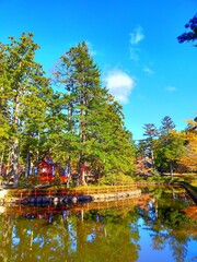 Fototapeta na wymiar 日本の和歌山県の観光地、世界遺産高野山の日本庭園の池と紅葉が美しい秋の風景（コピースペースあり）