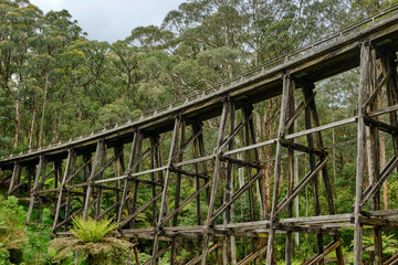 The Noojee Trestle Bridge is an impressive 100-metre long (330 ft) trestle bridge. The trail follows the alignment of the former Noojee railway line.