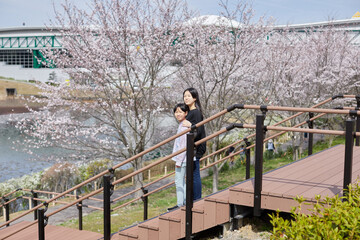公園でお花見をしている子供姉妹の様子