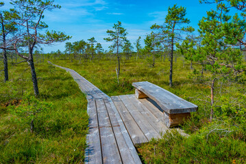 Landscape of Soomaa national park in Estonia