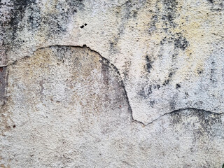 Rough, rustic, peeling embossed wall texture with dirt, slime and moss on its surface