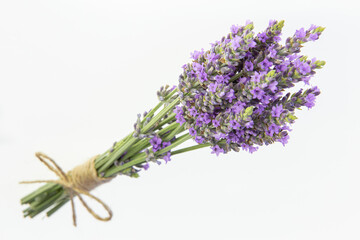 Lavender bouquets on an isolated background. Purple flowers.