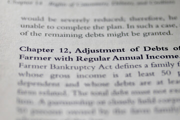 chapter 12 bankruptcy printed in text on page as visual aid or business law reference