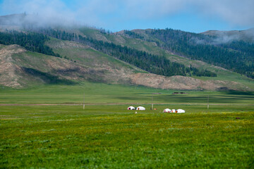 Lovely Mongolia