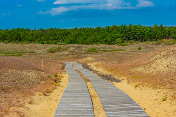 Nagliai dune at Curonian spit in Lithuania