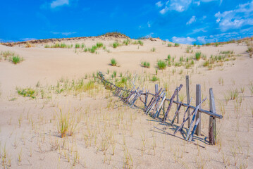 Nagliai dune at Curonian spit in Lithuania