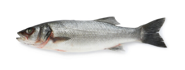 Fresh sea bass fish isolated on white, top view