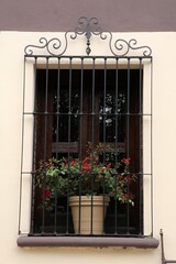 Building with wooden window and potted plant on windowsill