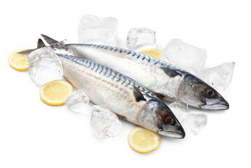 Two raw mackerels and lemons isolated on white