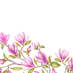 Differents flower magnolia on white background. Watercolor floral illustration