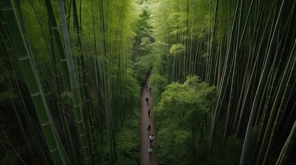 A Journey Through Nature: Marathon Running in the Middle of the Bamboo Forest, GENERATIVE AI