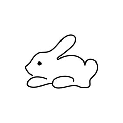 Cute bunny on white background