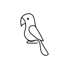 Cute parrot on white background