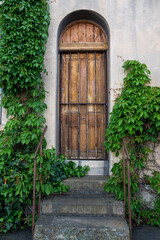 old door with ivy