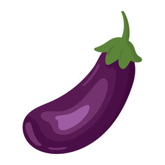 Fresh purple eggplant