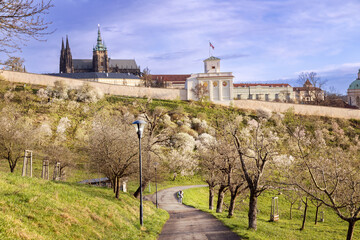 Petrin hill at sunrise, Lesser town (UNESCO), Prague, Czech republic