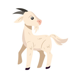 Cute farm goat standing
