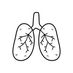 lung
