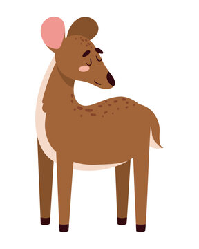 deer icon isolated