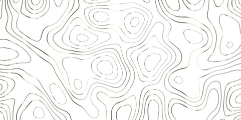 Panorama view gradient multicolor wave curve lines banner background design. Vector illustration. Line topography map contour background .Abstract Topographic map background with wave line.