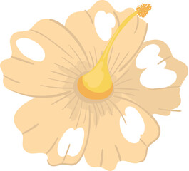flower hibiscus icon
