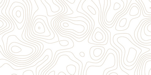 Panorama view gradient multicolor wave curve lines banner background design. Vector illustration. Line topography map contour background .Abstract Topographic map background with wave line.