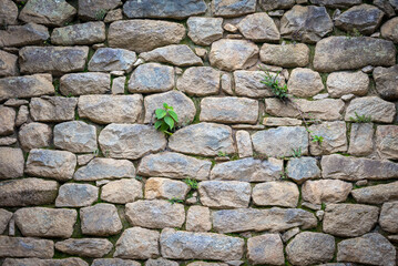 Details of a wall made of stone and some plants growing between its cracks in the Macchu Picchu area