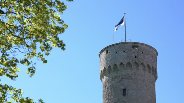 Estonian flag in high Herman Tower in sunny summer day. Tallinn, Estonia, Europe.