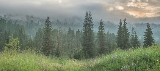 Mountain forest, foggy evening, wild wilderness © Valerii