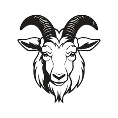 goat head, vector concept digital art, hand drawn illustration