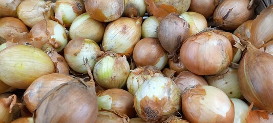 onions on the market
