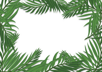 Horizontal frame made with green palm branches, Vector illustration