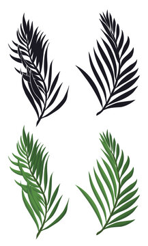 Set of palm branches in silhouettes and cartoon style, Vector illustration