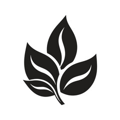 leaf, vector concept digital art, hand drawn illustration