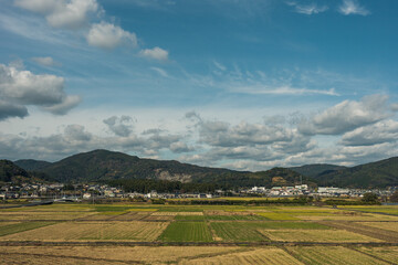 青空と野原