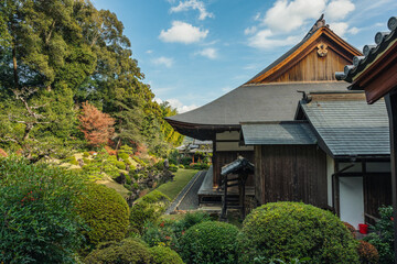 日本庭園と寺