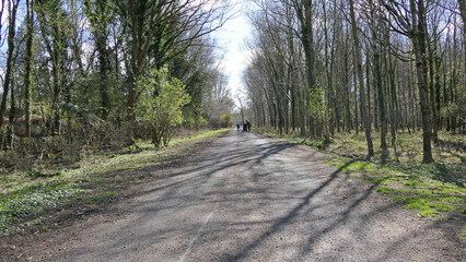 A Family walking up a lane in the woods on sunny winter day in UK