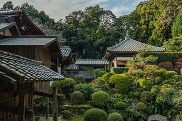 寺と木々