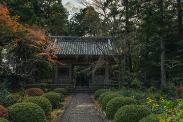 寺と続く道