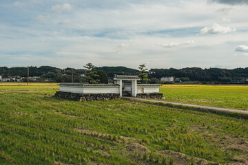 野原の真ん中に