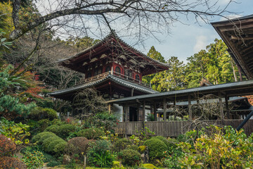 寺と木々